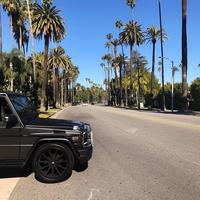 Отзыв от Георгий - Виза Destination Thailand